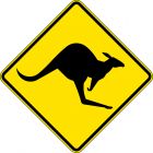 KANGAROOS
