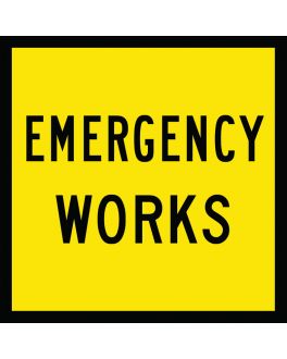 EMERGENCY WORKS