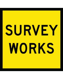 SURVEY WORKS
